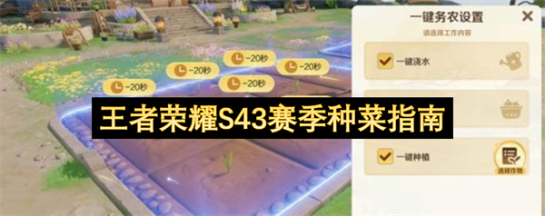 王者荣耀S43赛季种菜指南