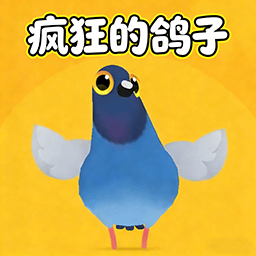 疯狂鸽鸽