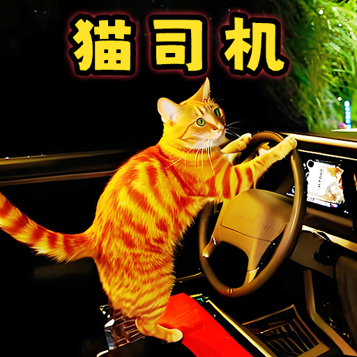 猫咪惊魂夜