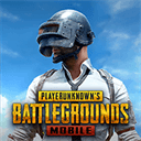 pubg国际版绝地求生