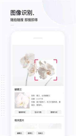 简单搜索旧版本截图3