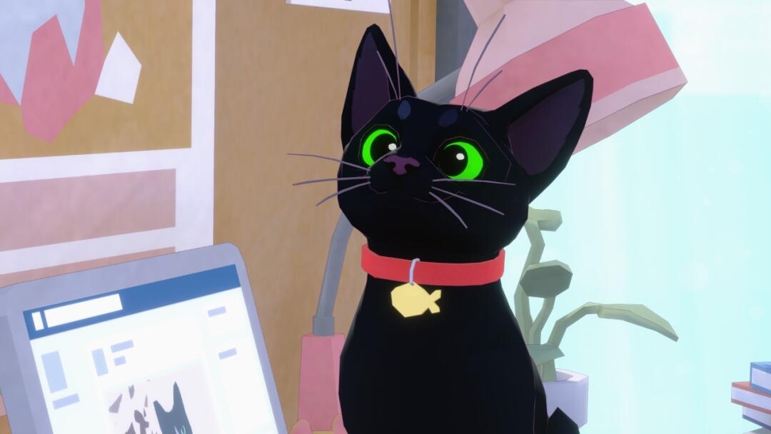 小猫咪大城市正版游戏截图4