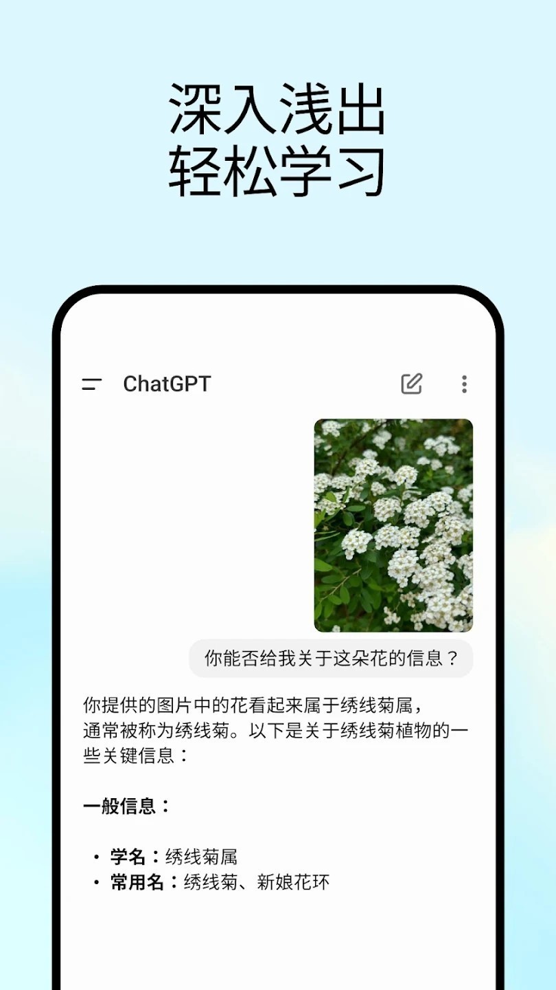 ChatGPT免费版截图3