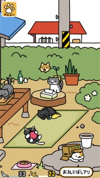 猫咪后院2截图3