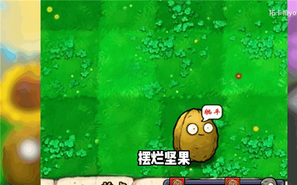 植物大战僵尸资本家版