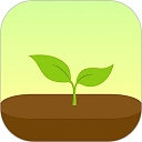 forest专注森林官网版