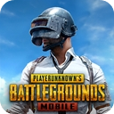 Pubg国际版
